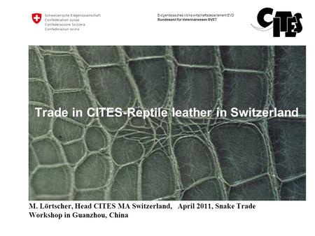 Trade in CITES-Reptile leather in Switzerland