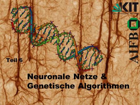 Neuronale Netze & Genetische Algorithmen