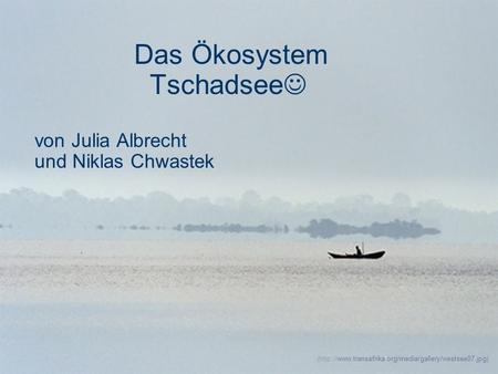 Das Ökosystem Tschadsee von Julia Albrecht und Niklas Chwastek