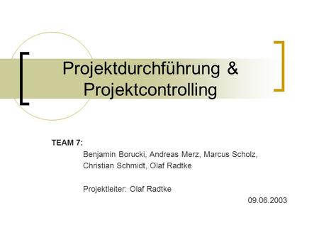 Projektdurchführung & Projektcontrolling