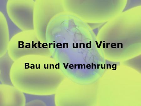 Bakterien und Viren Bau und Vermehrung.