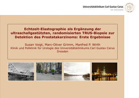 Susan Voigt, Marc-Oliver Grimm, Manfred P. Wirth