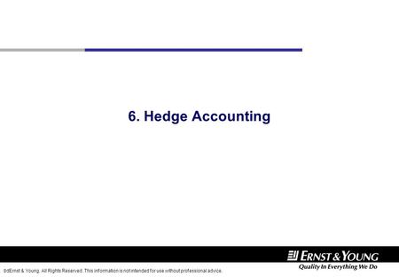 6. Hedge Accounting.