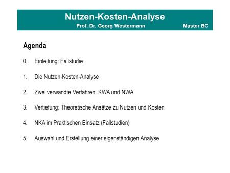 Nutzen-Kosten-Analyse Prof. Dr. Georg Westermann Master BC