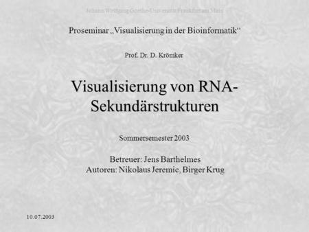 Visualisierung von RNA-Sekundärstrukturen