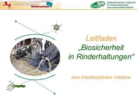 Leitfaden „Biosicherheit in Rinderhaltungen“