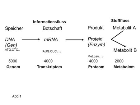 Genom Transkriptom Proteom Metabolom