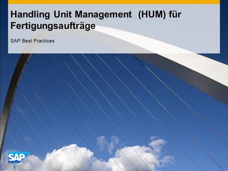 Handling Unit Management (HUM) für Fertigungsaufträge