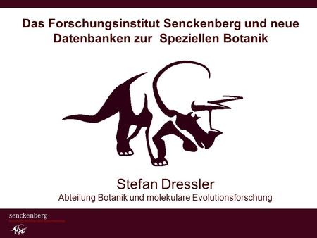 Das Forschungsinstitut Senckenberg und neue Datenbanken zur Speziellen Botanik Stefan Dressler Abteilung Botanik und molekulare Evolutionsforschung.