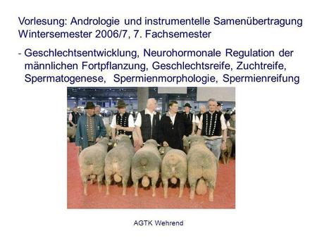 AGTK Wehrend Vorlesung: Andrologie und instrumentelle Samenübertragung Wintersemester 2006/7, 7. Fachsemester - Geschlechtsentwicklung, Neurohormonale.