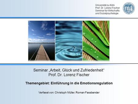 Seminar „Arbeit, Glück und Zufriedenheit“ Prof. Dr. Lorenz Fischer
