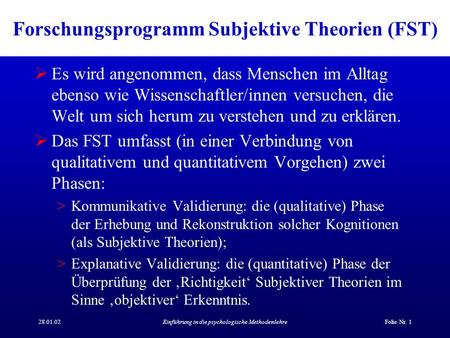 Forschungsprogramm Subjektive Theorien (FST)