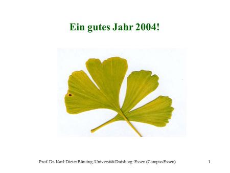 Ein gutes Jahr 2004! Prof. Dr. Karl-Dieter Bünting, Universität Duisburg- Essen (Campus Essen)