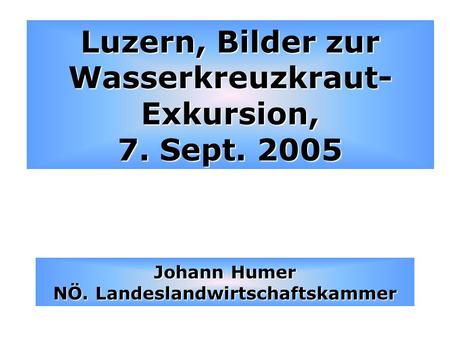Luzern, Bilder zur Wasserkreuzkraut-Exkursion, 7. Sept. 2005