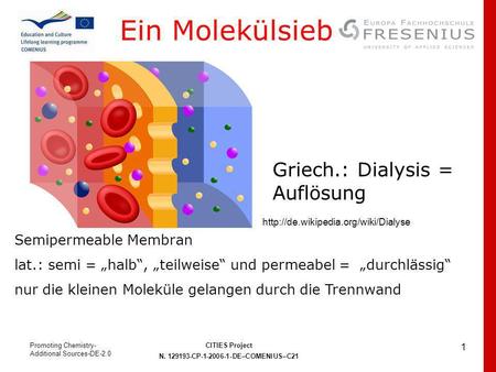 Ein Molekülsieb Griech.: Dialysis = Auflösung  Semipermeable Membran