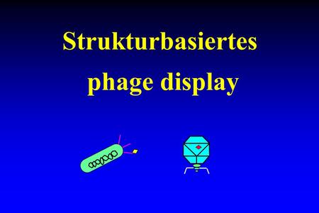 Strukturbasiertes phage display.