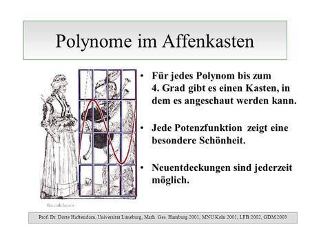 Polynome im Affenkasten Für jedes Polynom bis zum 4. Grad gibt es einen Kasten, in dem es angeschaut werden kann. Jede Potenzfunktion zeigt eine besondere.