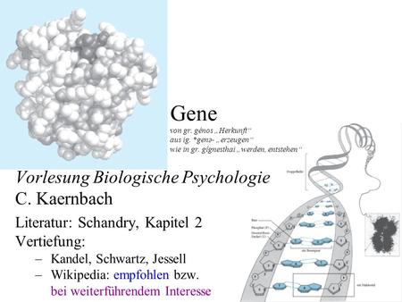 Gene von gr. génos „Herkunft“ aus ig. genə- „erzeugen“ wie in gr