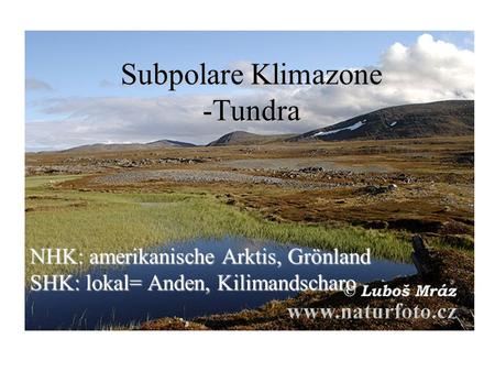 Subpolare Klimazone -Tundra