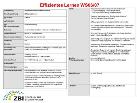 Effizientes Lernen WS06/07