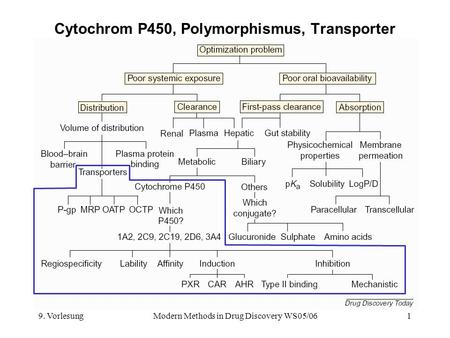 Cytochrom P450, Polymorphismus, Transporter