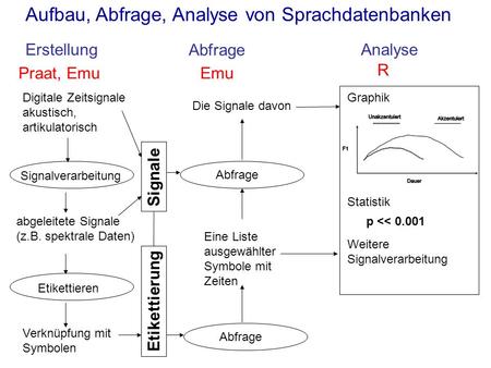 Aufbau, Abfrage, Analyse von Sprachdatenbanken ErstellungAnalyse Abfrage Digitale Zeitsignale akustisch, artikulatorisch Etikettieren Verknüpfung mit Symbolen.