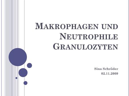 Makrophagen und Neutrophile Granulozyten