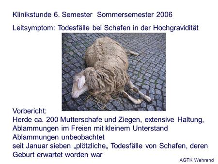 Klinikstunde 6. Semester Sommersemester 2006 Leitsymptom: Todesfälle bei Schafen in der Hochgravidität Vorbericht: Herde ca. 200 Mutterschafe und Ziegen,