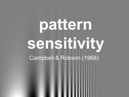 Pattern sensitivity Campbell & Robson (1968).