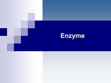 Enzyme.