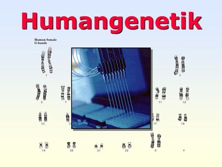 Humangenetik.