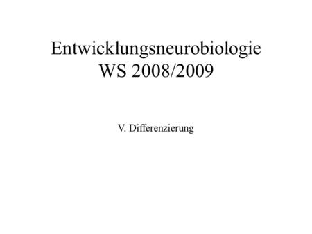 Entwicklungsneurobiologie WS 2008/2009