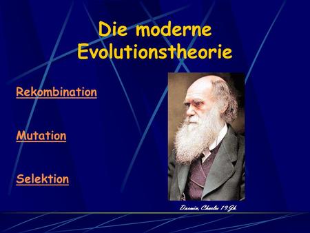 Die moderne Evolutionstheorie