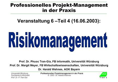 Professionelles Projekt-Management in der Praxis