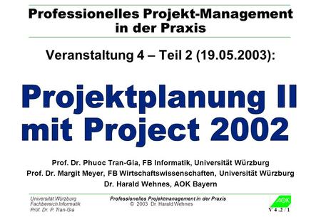 Professionelles Projekt-Management in der Praxis