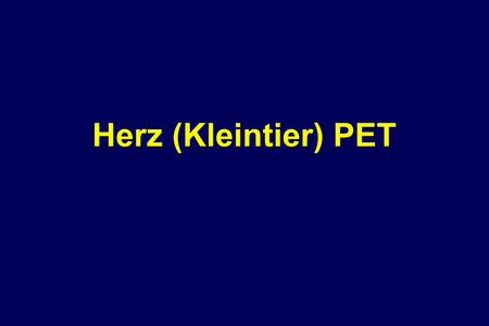 Herz (Kleintier) PET.