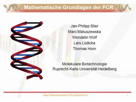 Molekulare Biotechnologie Ruprecht-Karls-Universität Heidelberg