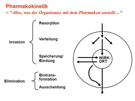 Pharmakokinetik = Alles, was der Organismus mit dem Pharmakon anstellt ... WIRK- ORT Biotrans- formation Ausscheidung Elimination Speicherung/ Bindung.