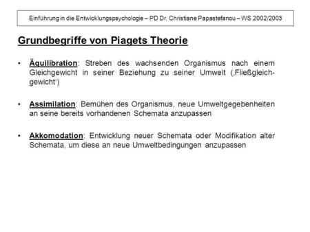Grundbegriffe von Piagets Theorie