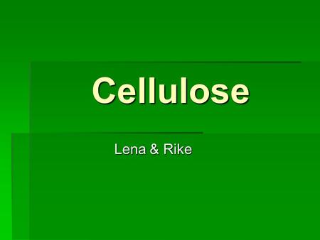 Cellulose Lena & Rike.