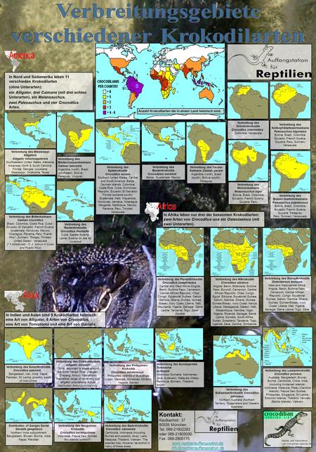 Verbreitungsgebiete verschiedener Krokodilarten