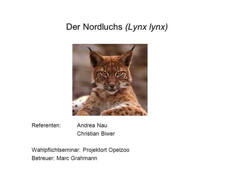 Der Nordluchs (Lynx lynx)