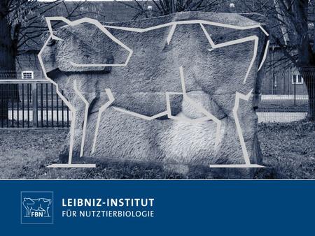 Wo liegen die Grenzen der Belastbarkeit für die Tiere in der Intensivhaltung?