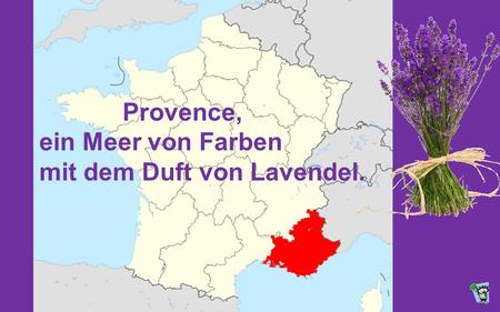 Provence, ein Meer von Farben mit dem Duft von Lavendel.