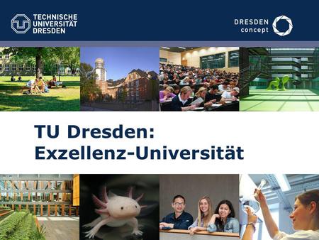 TU Dresden: Exzellenz-Universität
