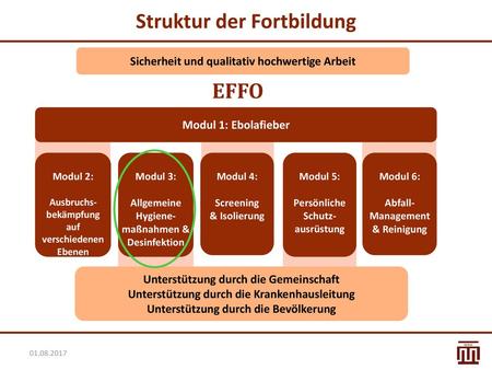 Struktur der Fortbildung