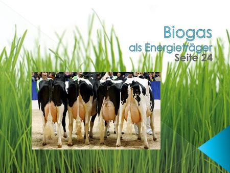 Biogas als Energieträger