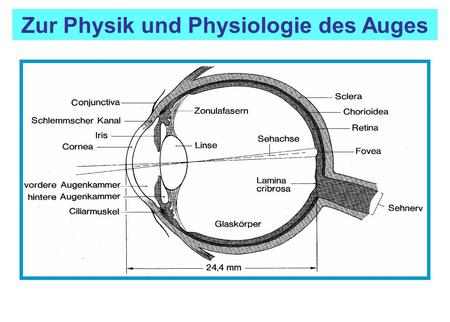 Zur Physik und Physiologie des Auges