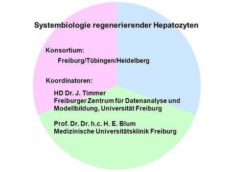 Systembiologie regenerierender Hepatozyten