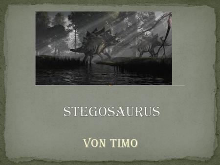 Stegosaurus Von Timo.